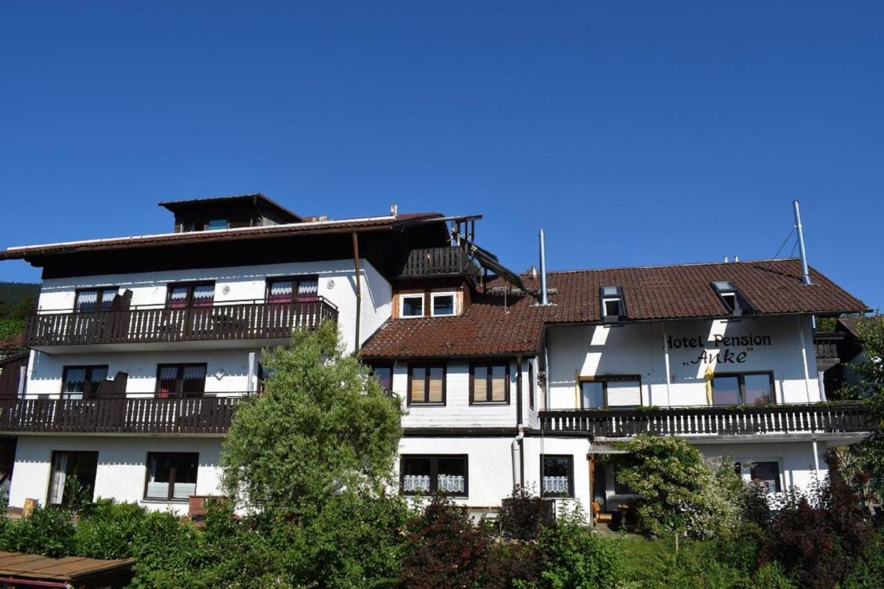 Hotel Pension Anke Bodenmais Buitenkant foto